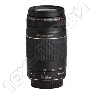  Canon EF 75-300mm f/4.0-5.6 III